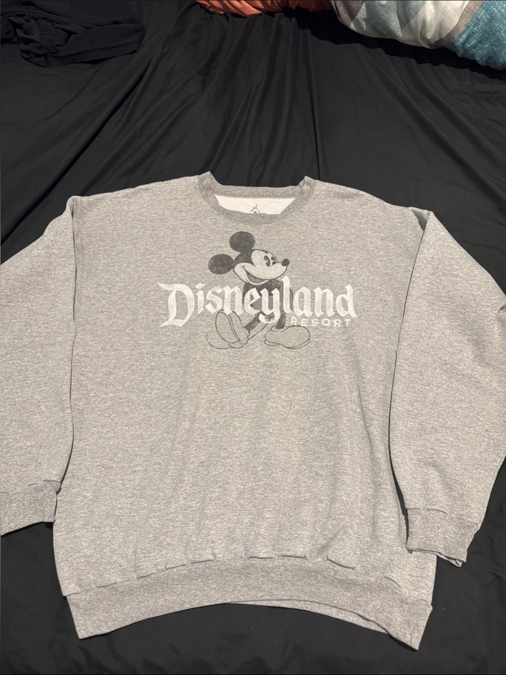 Men's Disneyland Gray Crewneck Sweatshirt